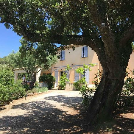 Le Mas Amore Bed & Breakfast Gassin Ngoại thất bức ảnh